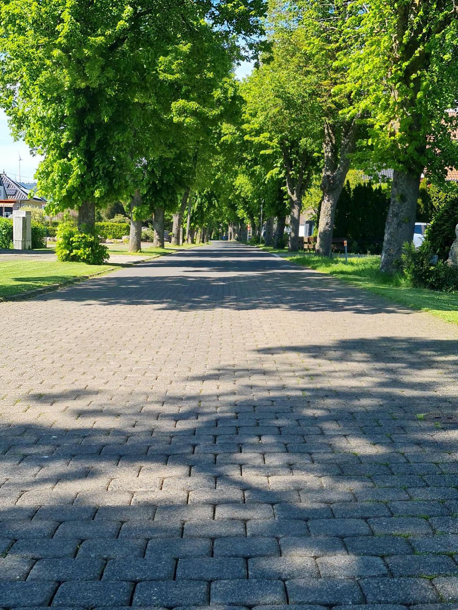 Ferienwohnungen Lindenallee Morbach Exterior foto